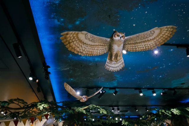 日本初の旗艦店「ハリー・ポッター ショップ 原宿」の内部（21枚目）