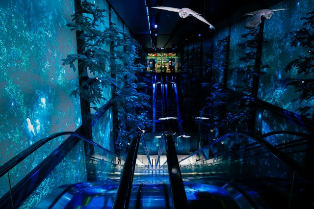 日本初の旗艦店「ハリー・ポッター ショップ 原宿」の内部（23枚目）