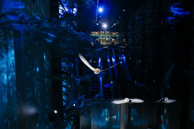 日本初の旗艦店「ハリー・ポッター ショップ 原宿」の内部（24枚目）