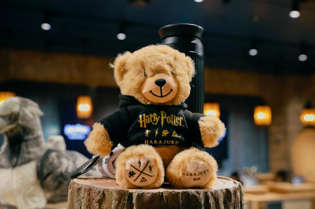 日本初の旗艦店「ハリー・ポッター ショップ 原宿」の内部（56枚目）