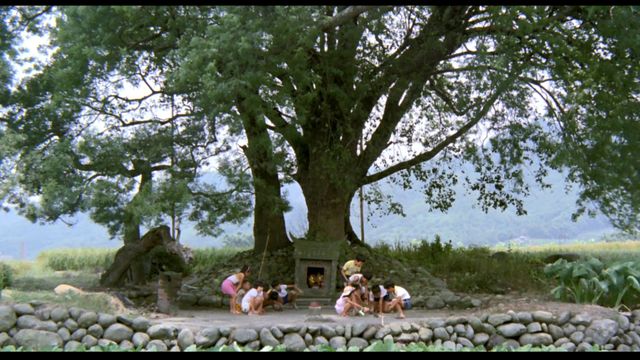 『冬冬の夏休み デジタルリマスター版』場面写真（7枚目）