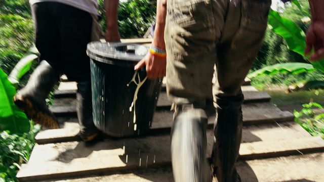 映画『カナルタ　螺旋状の夢』場面写真（2枚目）