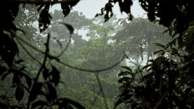 映画『カナルタ　螺旋状の夢』場面写真（6枚目）