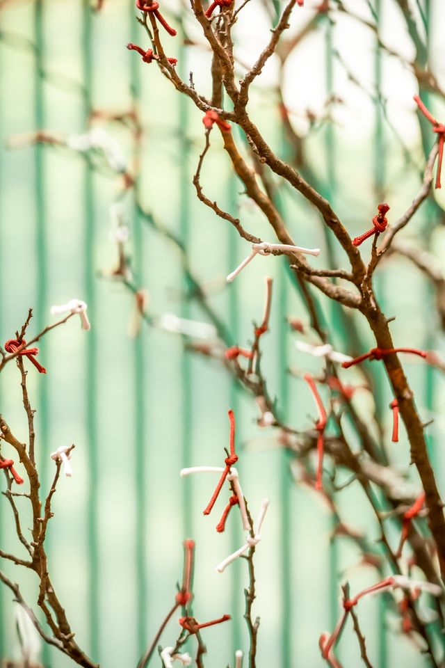 隆家の執務室＆政庁・客館「光る君へ」セット美術（11枚目）