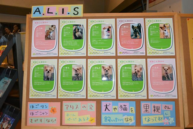 犬猫の殺処分ゼロを目指す！　古新舜監督らが熱い思いを語る！　画像ギャラリー（6枚目）