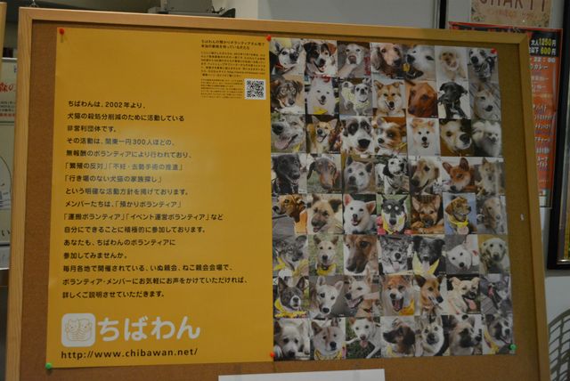 犬猫の殺処分ゼロを目指す！　古新舜監督らが熱い思いを語る！　画像ギャラリー（7枚目）