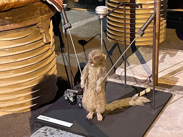 実物大スターファイターも展示！「マンダロリアン・エクスペリエンス」（32枚目）