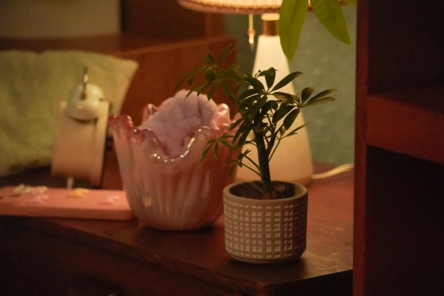 こんな部屋に住みたい！『お嬢と番犬くん』和室インテリア＜セット写真18点＞（13枚目）