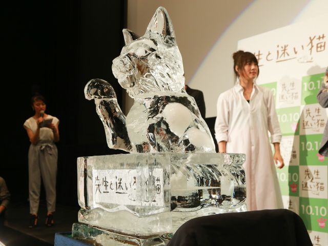 「あまちゃん」の天才猫にみんなメロメロ！フォトギャラリー（7枚目）