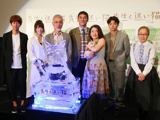 「あまちゃん」の天才猫にみんなメロメロ！フォトギャラリー（9枚目）