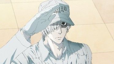 「はたらく細胞」再放送＆特別番組が決定：フォトギャラリー