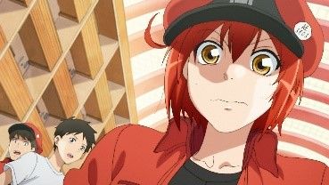 「はたらく細胞」再放送＆特別番組が決定（2枚目）