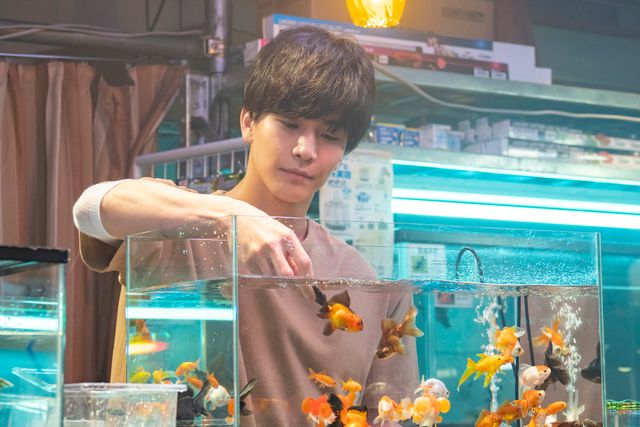 岩田剛典の美しすぎるキスシーン！「金魚妻」新場面写真（2枚目）