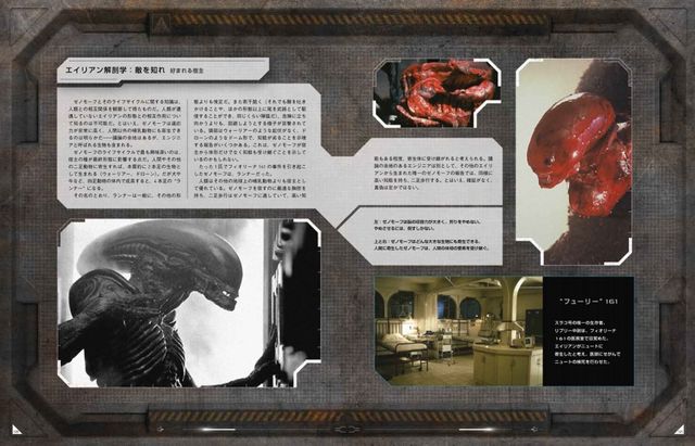 USCMの公式エイリアン撃退マニュアル「エイリアン・ サバイバル・マニュアル」（5枚目）