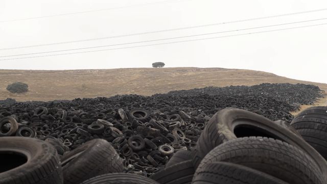 映画『One Day On Earth～地球の一日』フォトギャラリー（4枚目）