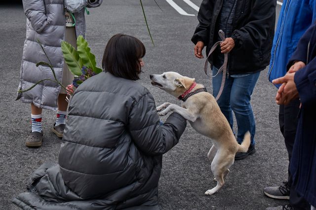 北村匠海、小松菜奈、吉沢亮らがワンコを愛でる『さくら』メイキングカット（5枚目）