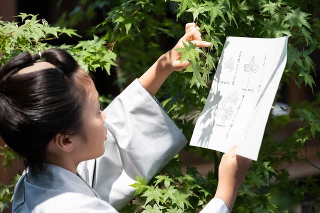 朝ドラ「らんまん」第10回の場面写真：フォトギャラリー