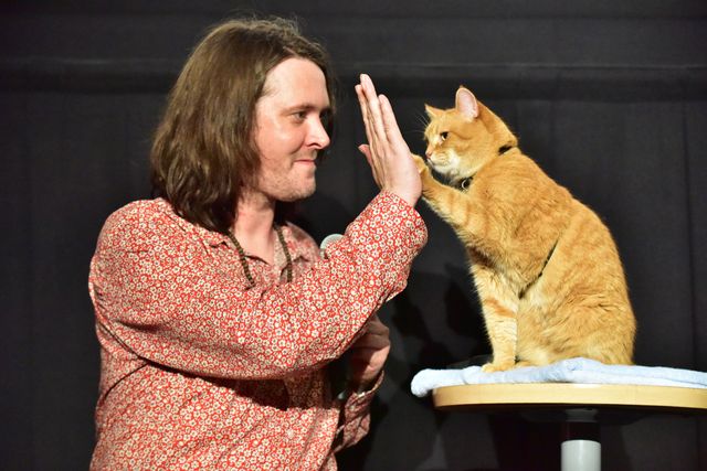 猫ボブのハイタッチは悶絶級のかわいらしさ！【写真たくさん】：フォトギャラリー