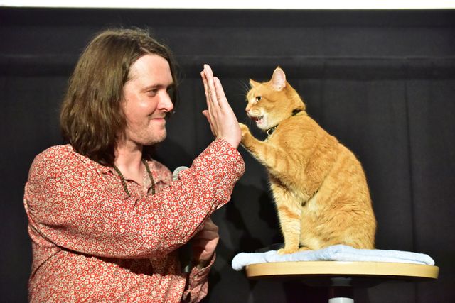 猫ボブのハイタッチは悶絶級のかわいらしさ！【写真たくさん】（2枚目）