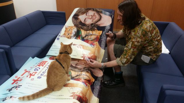 猫ボブのハイタッチは悶絶級のかわいらしさ！【写真たくさん】（5枚目）