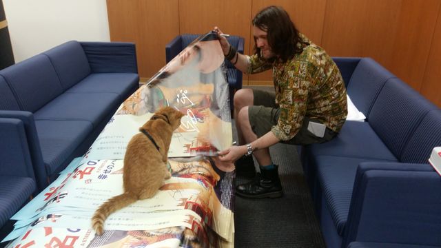 猫ボブのハイタッチは悶絶級のかわいらしさ！【写真たくさん】（6枚目）