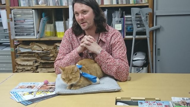 猫ボブのハイタッチは悶絶級のかわいらしさ！【写真たくさん】（14枚目）