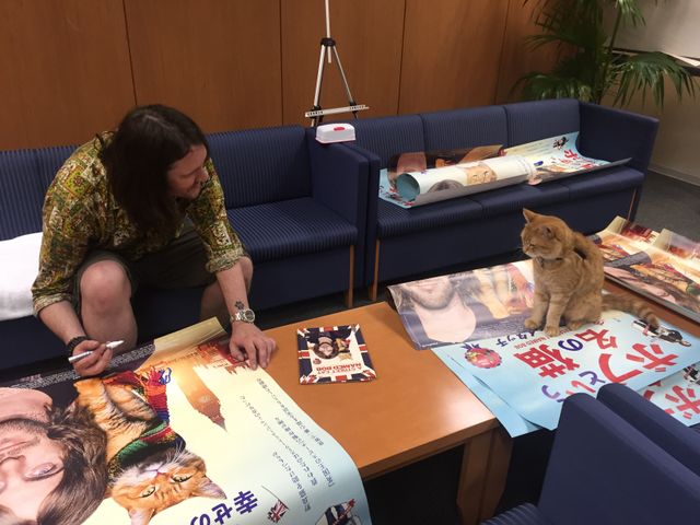 猫ボブのハイタッチは悶絶級のかわいらしさ！【写真たくさん】（32枚目）