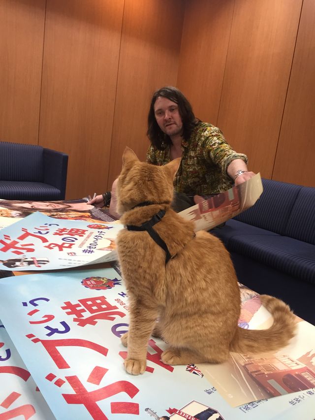 猫ボブのハイタッチは悶絶級のかわいらしさ！【写真たくさん】（35枚目）