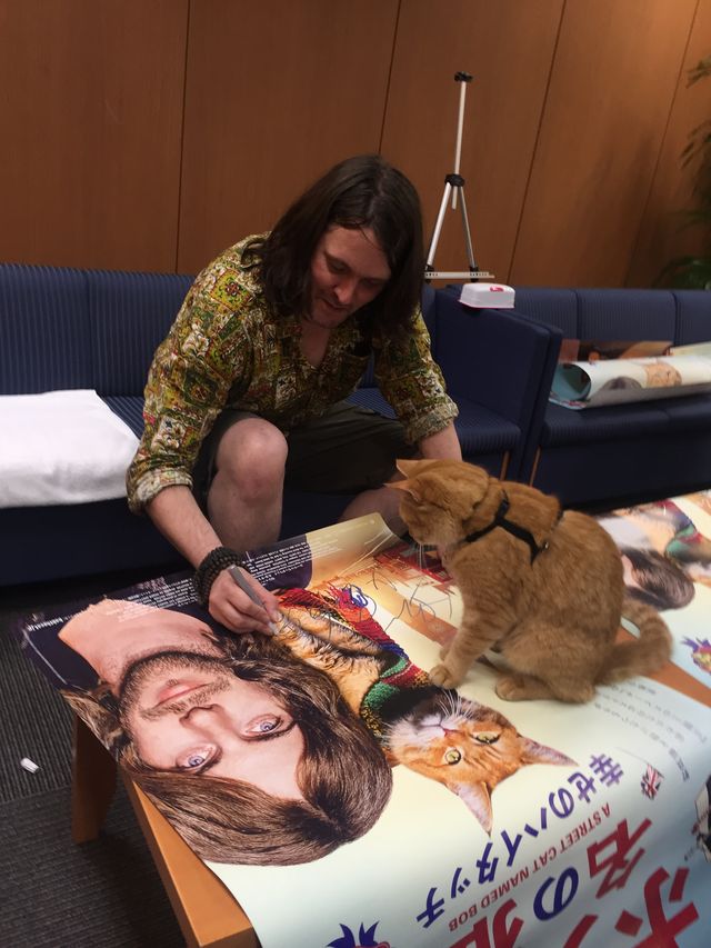 猫ボブのハイタッチは悶絶級のかわいらしさ！【写真たくさん】（36枚目）