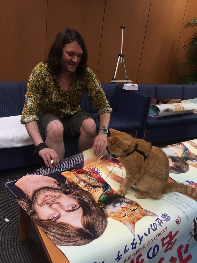 猫ボブのハイタッチは悶絶級のかわいらしさ！【写真たくさん】（37枚目）