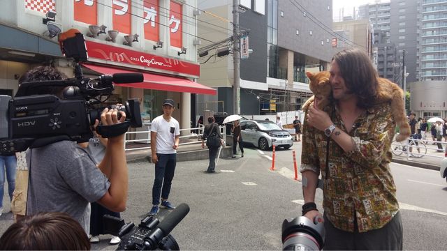 猫ボブのハイタッチは悶絶級のかわいらしさ！【写真たくさん】（45枚目）