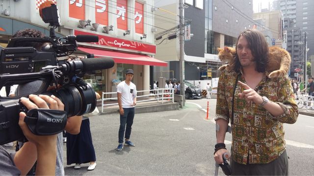 猫ボブのハイタッチは悶絶級のかわいらしさ！【写真たくさん】（46枚目）