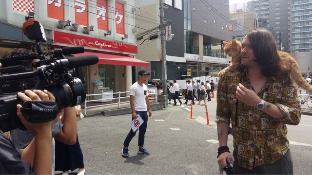 猫ボブのハイタッチは悶絶級のかわいらしさ！【写真たくさん】（47枚目）