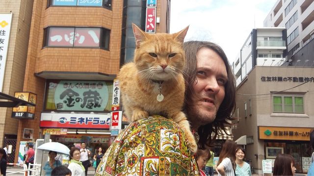 猫ボブのハイタッチは悶絶級のかわいらしさ！【写真たくさん】（49枚目）