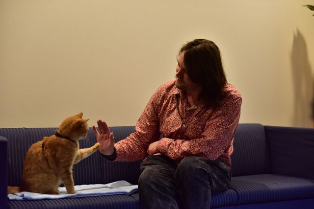 猫ボブのハイタッチは悶絶級のかわいらしさ！【写真たくさん】（58枚目）