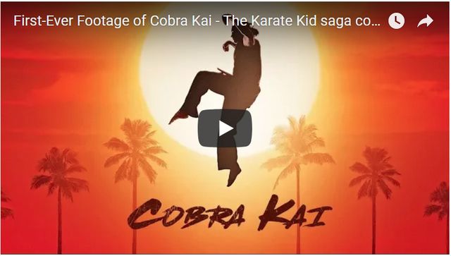 『ベスト・キッド』から30年後が描かれる！（「Cobra Kai」YouTubeのスクリーンショット）