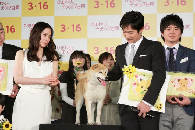 映画『ひまわりと子犬の7日間』公開記者会見フォトギャラリー：フォトギャラリー