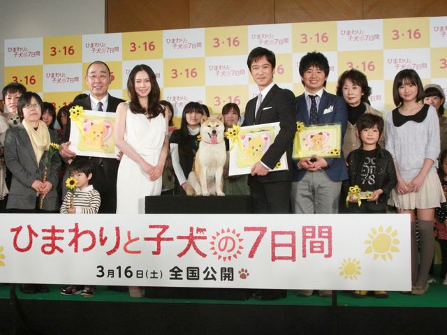 映画『ひまわりと子犬の7日間』公開記者会見フォトギャラリー（2枚目）