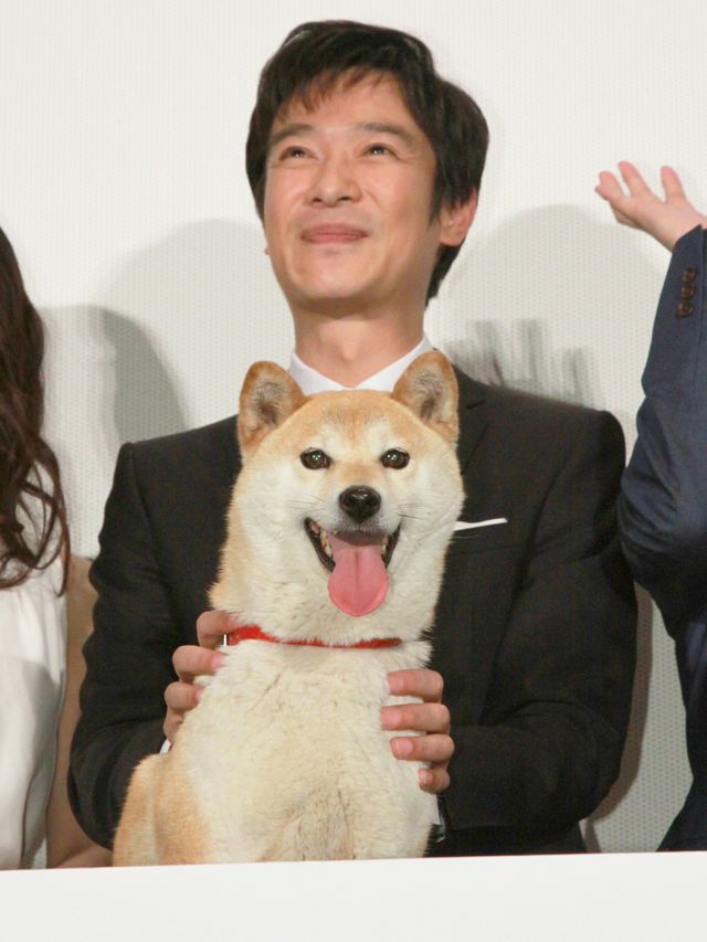 映画『ひまわりと子犬の7日間』公開記者会見フォトギャラリー（21枚目）