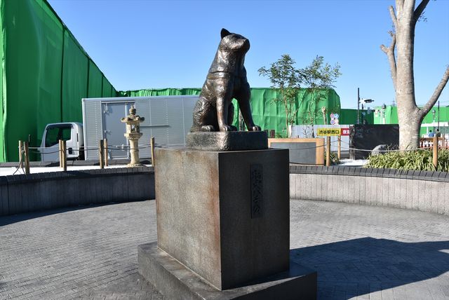 山崎賢人＆土屋太鳳W主演「今際の国のアリス」の撮影現場に潜入！：フォトギャラリー