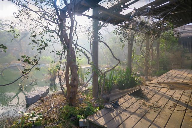 まひろ＆道長が密会…「光る君へ」幻想的な廃邸セット写真（2枚目）