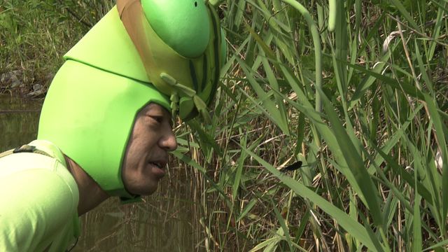 カマキリ先生、タガメに会いに行く：フォトギャラリー