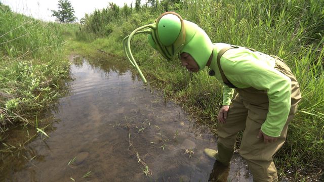 カマキリ先生、タガメに会いに行く（2枚目）
