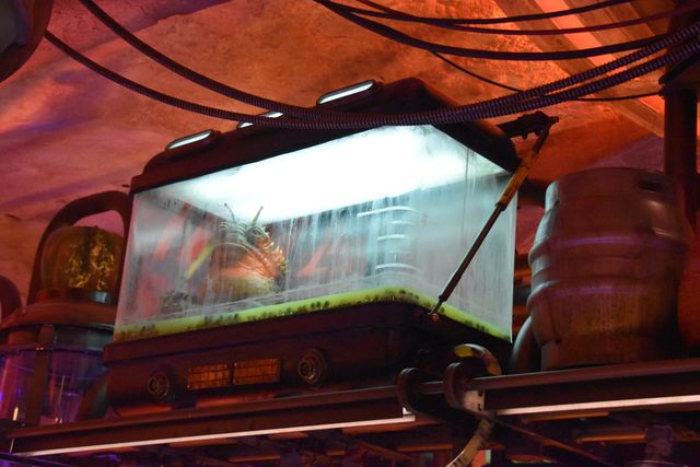 カンティーナに行ける！ディズニー新テーマランド「スター・ウォーズ：ギャラクシーズ・エッジ」（12枚目）