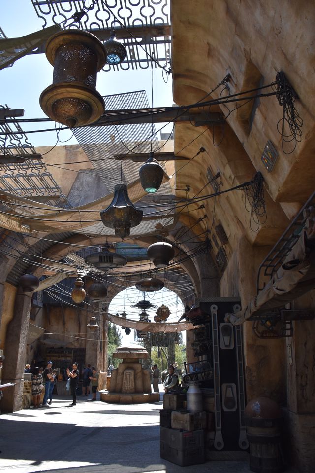 カンティーナに行ける！ディズニー新テーマランド「スター・ウォーズ：ギャラクシーズ・エッジ」（21枚目）