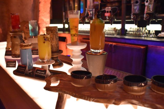 カンティーナに行ける！ディズニー新テーマランド「スター・ウォーズ：ギャラクシーズ・エッジ」（36枚目）