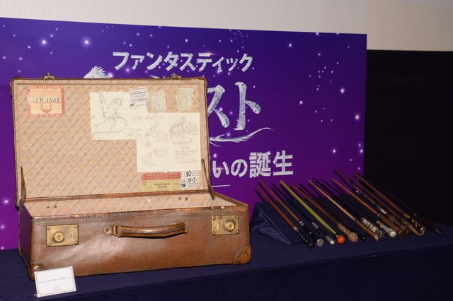 『ファンタビ』『ハリポタ』の小道具がごっそり登場！（3枚目）