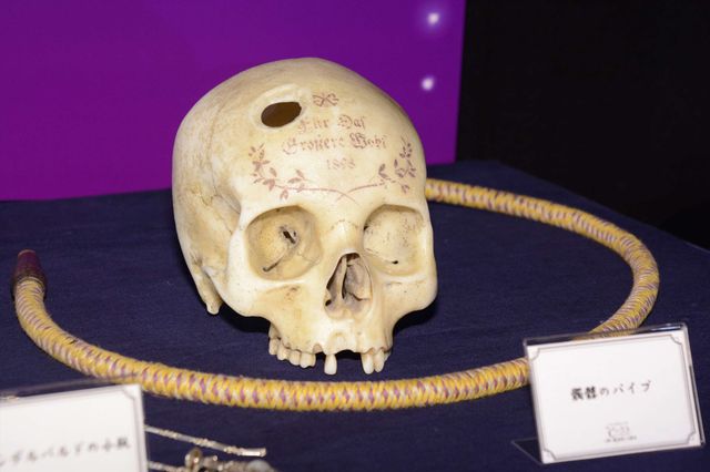 『ファンタビ』『ハリポタ』の小道具がごっそり登場！（9枚目）