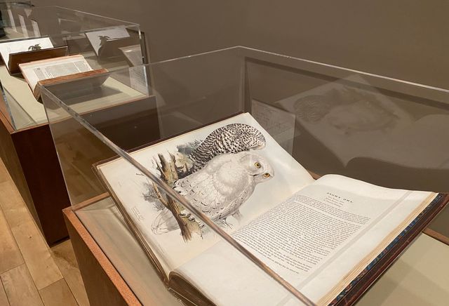 Sexy Zone松島聡が「ハリー・ポッターと魔法の歴史」展に！（8枚目）