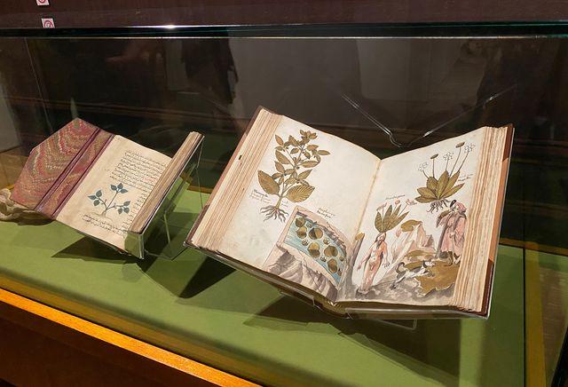 Sexy Zone松島聡が「ハリー・ポッターと魔法の歴史」展に！（17枚目）